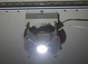 5W COB LED.jpg